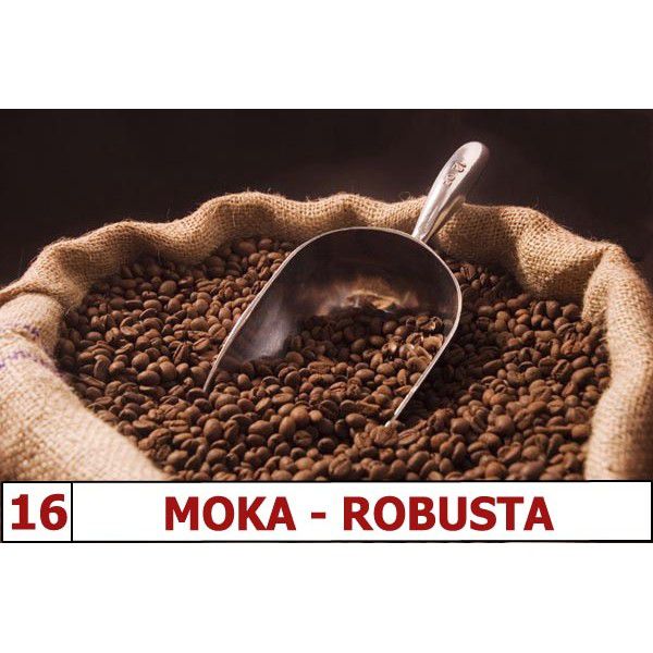 moka-robusta-16