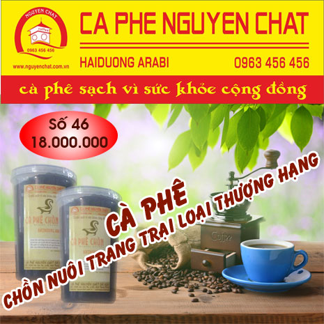 ca-phe-chon-thuong-hang-so-46