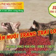 ca-phe-chon-so-41