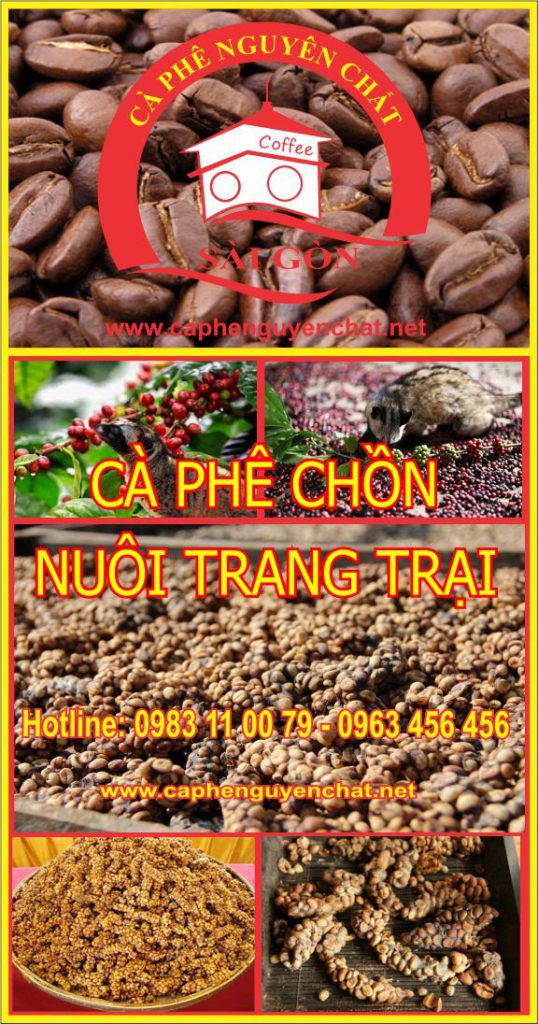 TIEN
