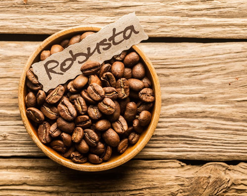 Giá café hạt Robusta khá bình dân.