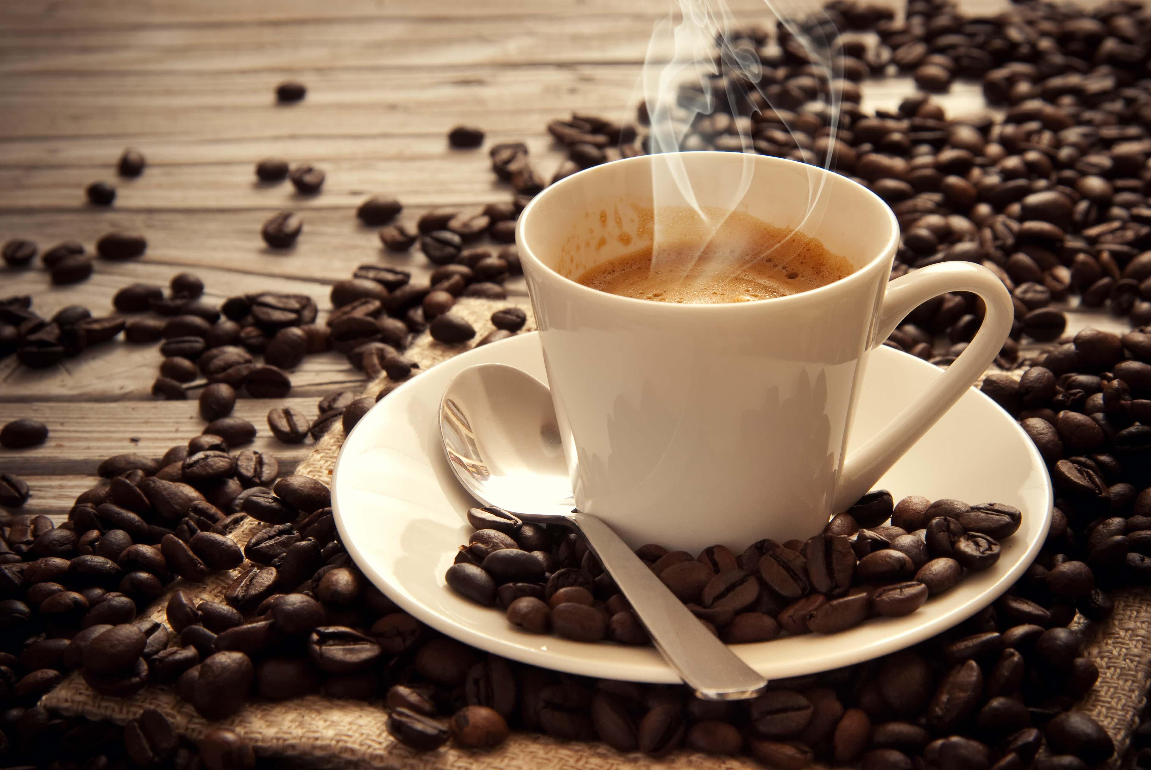 NGUYEN CHAT COFFEE là địa chỉ tin cậy của nhiều cửa hàng, đối tác