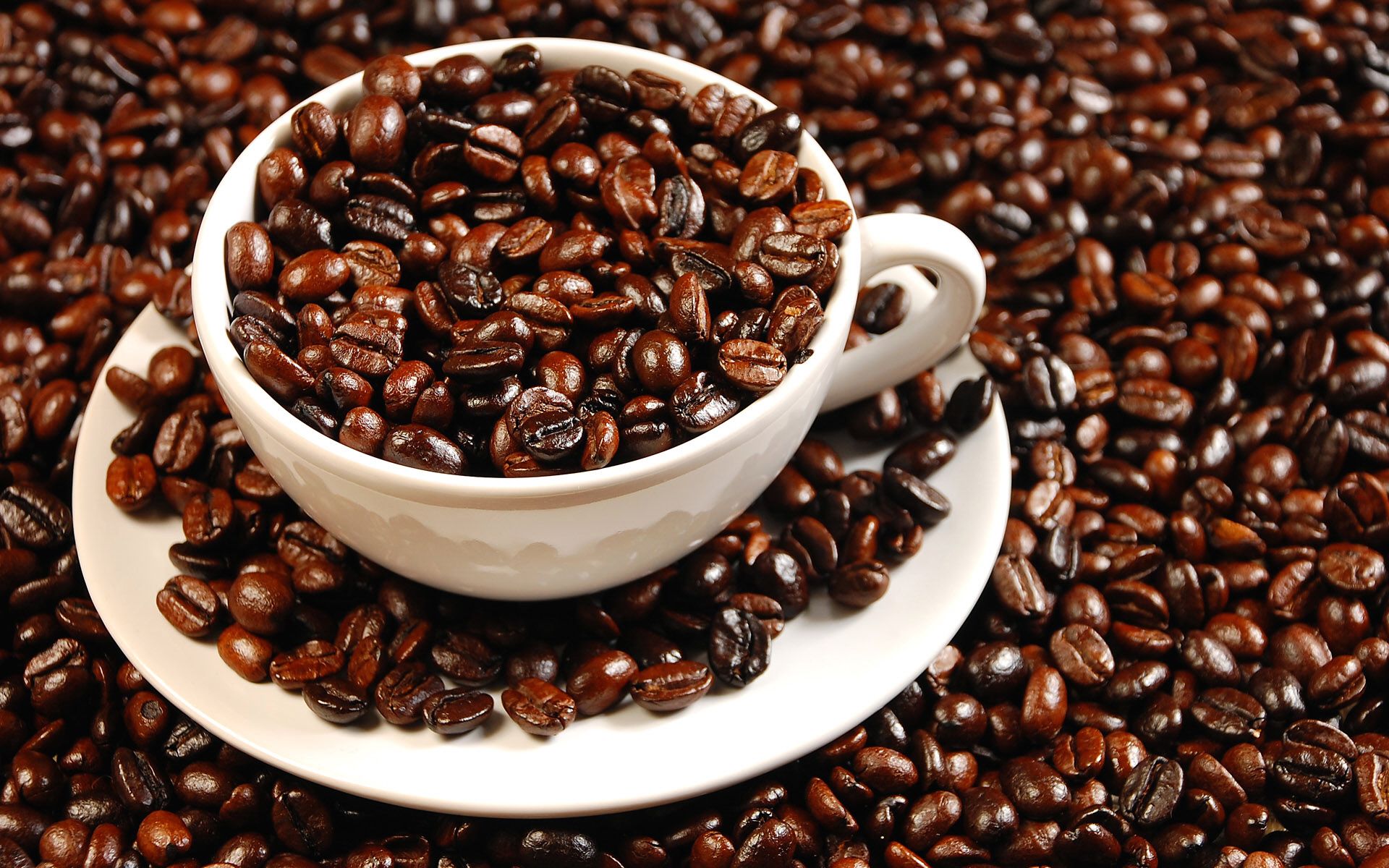 Nên dùng cà phê hạt rang sẵn thay vì cà phê bột.