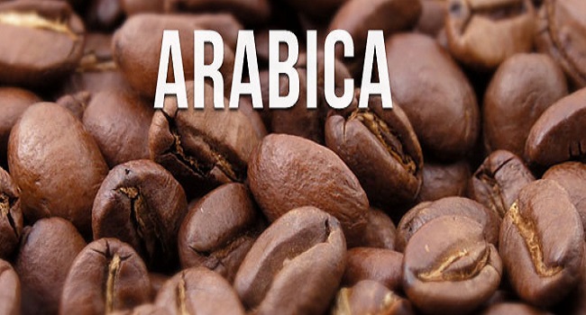 Cà phê Arabica