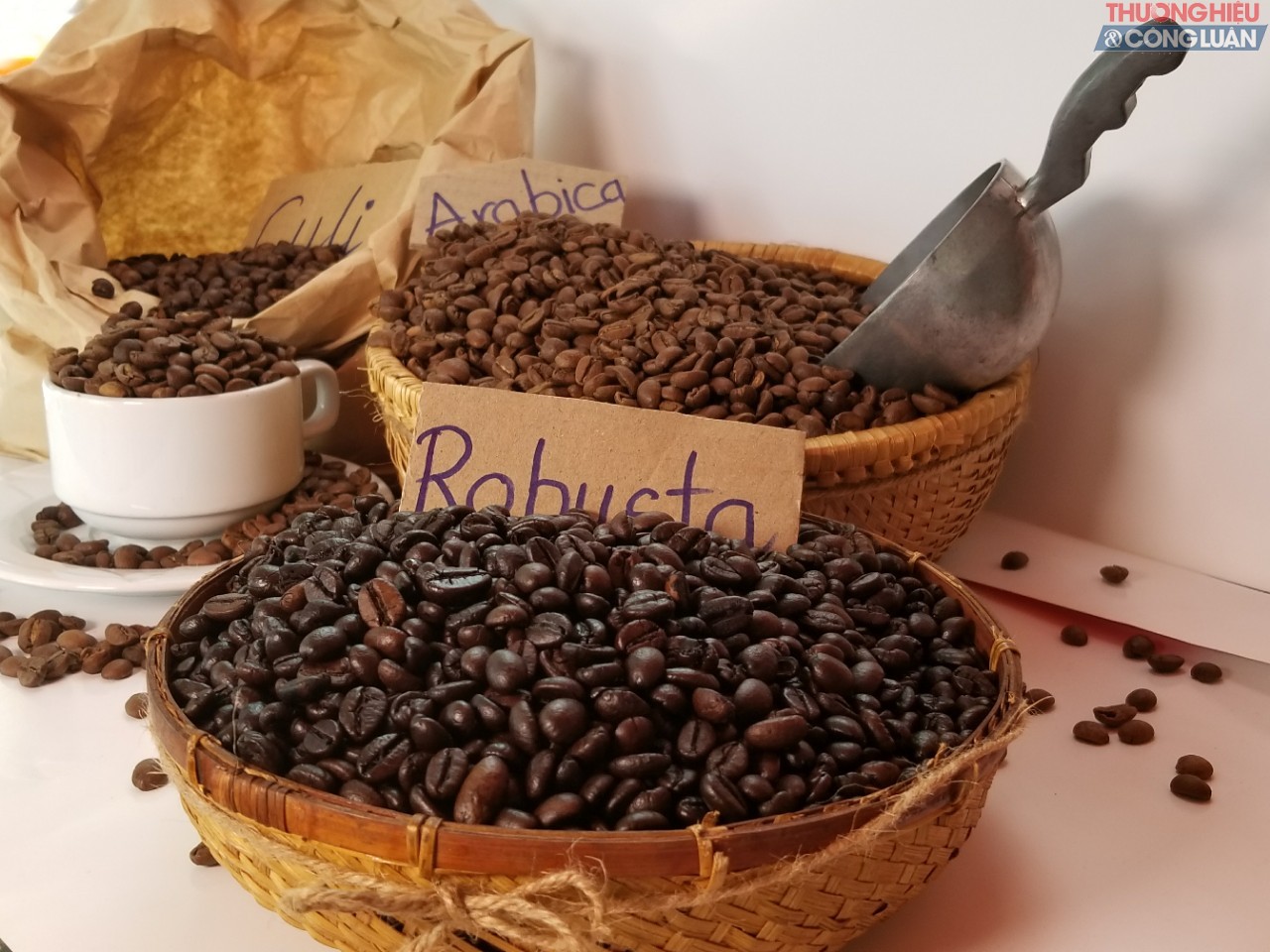 Hạt cà phê Arabica và Robusta
