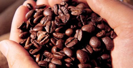 Vị đắng của cà phê đến từ nhiều hợp chất tự nhiên có sẵn hoặc tạo thành khi rang xay