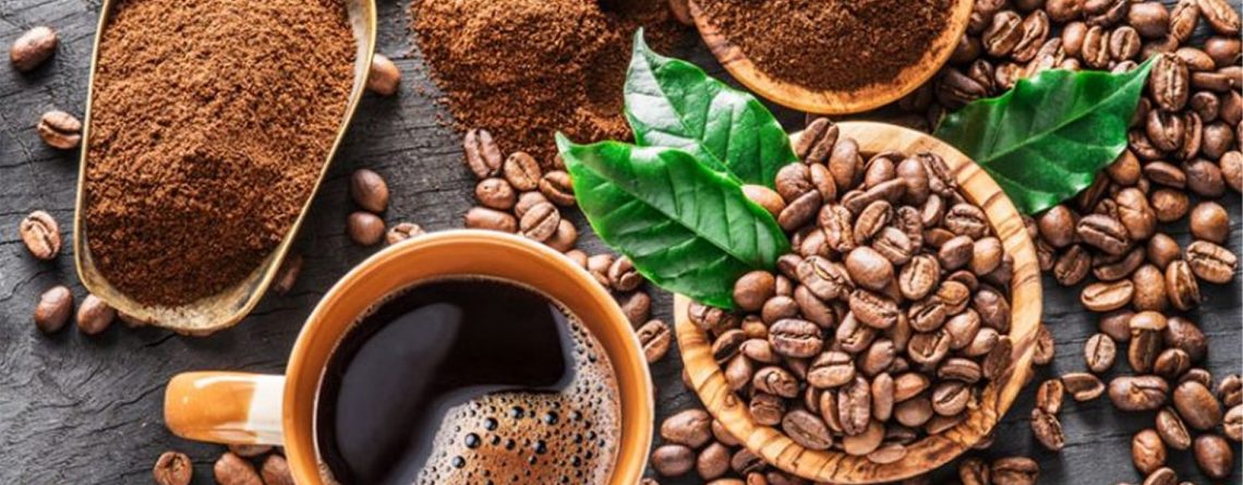 hương vị đặc biệt riêng có của cà phê chồn đến từ loài chồn hương