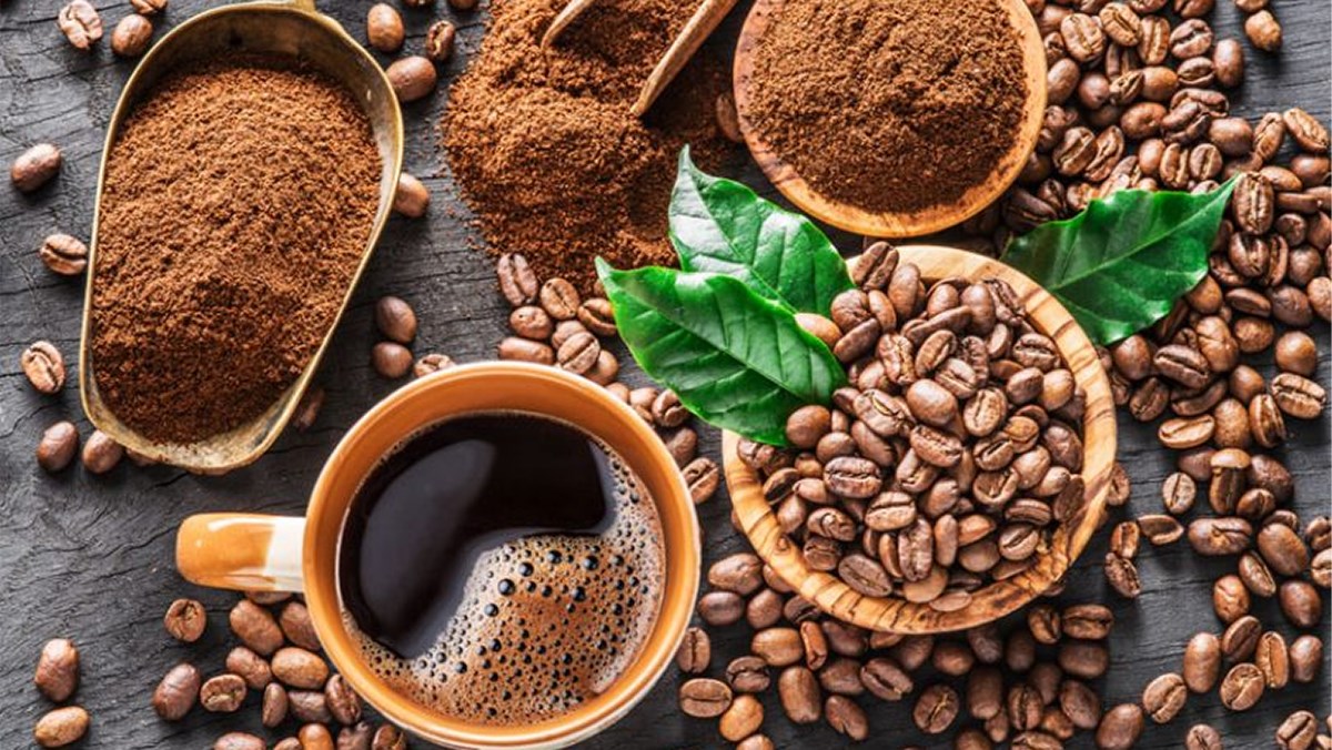 hương vị đặc biệt riêng có của cà phê chồn đến từ loài chồn hương