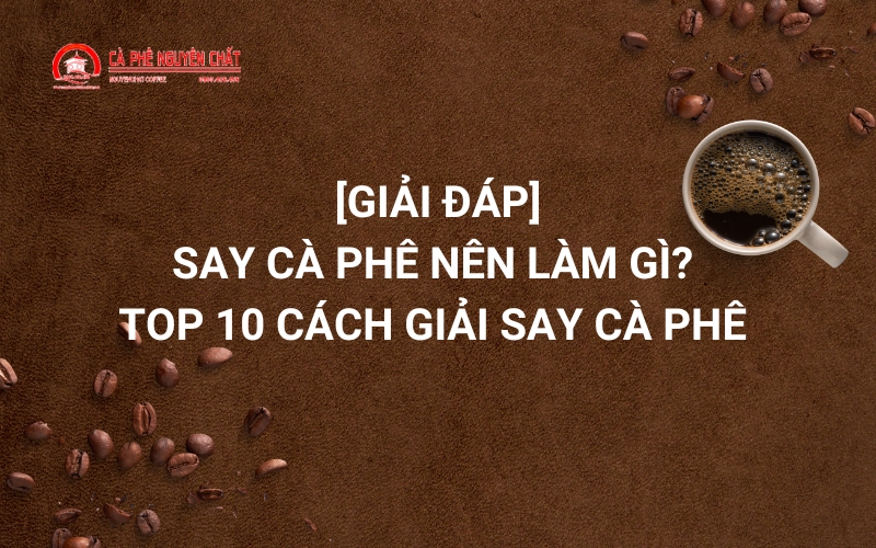 say cà phê nên làm gì